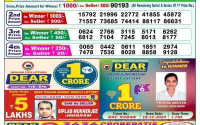 Dear yamuna sunday weekly lottery 16.3.25 1pm result