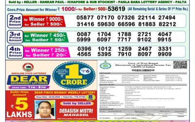 Dear dwarka monday weekly lottery 17.3.25 1pm result