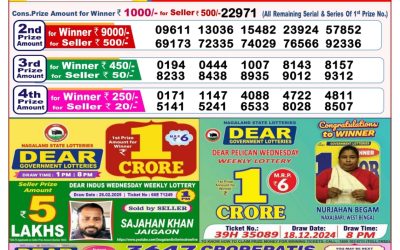 Dear goose Tuesday weekly lottery 18.3.25 8pm result