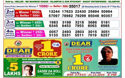 Dear seagull Friday weekly lottery 21.3.25 8pm result
