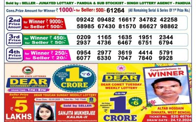 Dear vixen sunday weekly lottery 23.3.25 6pm result