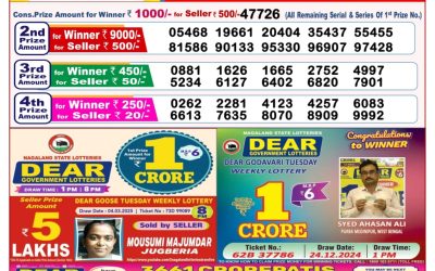 Dear goose Tuesday weekly lottery 25.3.25 8pm result