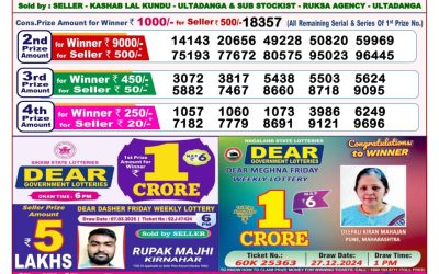 Dear seagull Friday weekly lottery 28.3.25 8pm result