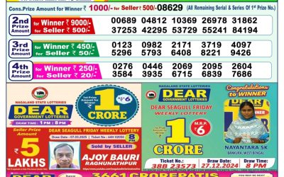 Dear narmada saturday weekly lottery 29.3.25 1pm result