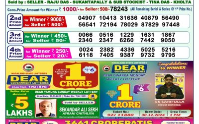 Dear yamuna sunday weekly lottery 30.3.25 1pm result