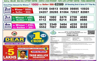 Dear dwarka monday weekly lottery 31.3.25 1pm result