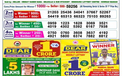 Dear vixen sunday weekly lottery 16.3.25 6pm result