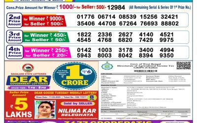 Dear comet Tuesday weekly lottery 1.4.25 6pm result