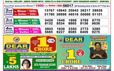 Dear goose Tuesday weekly lottery 1.4.25 8pm result