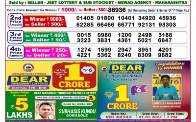 Dear pelican wednesday weekly lottery 2.4.25 8pm result