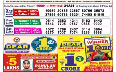 Dear sandpiper Thursday weekly lottery 3.4.25 8pm result