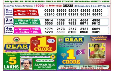Dear stork saturday weekly lottery 5.4.25 8pm result