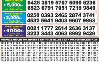 Punjab state monthly 100 lottery 8.4.25 6pm result