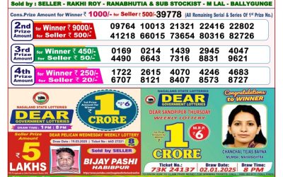 Dear goose Tuesday weekly lottery 8.4.25 8pm result