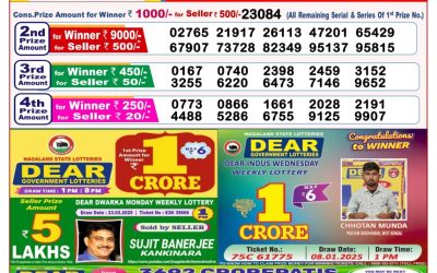 Dear seagull Friday weekly lottery 11.4.25 8pm result