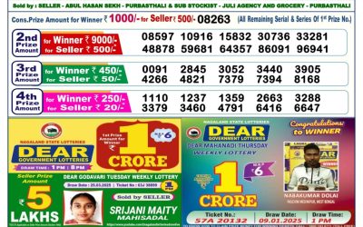 Dear vixen sunday weekly lottery 13.4.25 6pm result