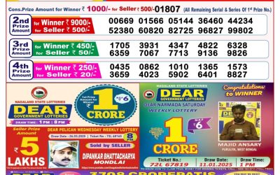 Dear goose Tuesday weekly lottery 15.4.25 8pm result
