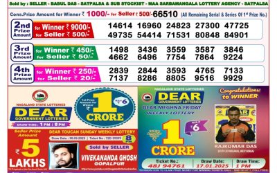 Dear stork saturday weekly lottery 19.4.25 8pm result