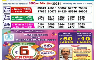 Dear vixen sunday weekly lottery 20.4.25 6pm result