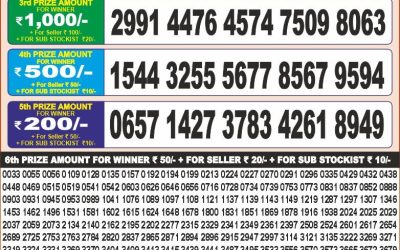 Punjab dear 20 monthly lottery result 22.4.25