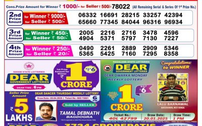 Dear goose Tuesday weekly lottery 22.4.25 8pm result