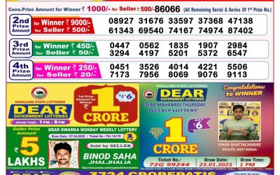 Dear seagull Friday weekly lottery 25.4.25 8pm result