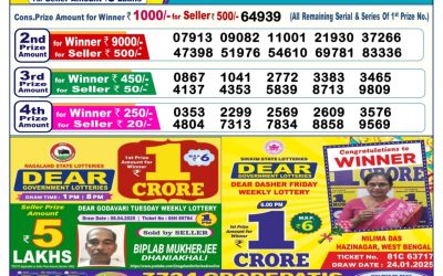Dear vixen sunday weekly lottery 27.4.25 6pm result