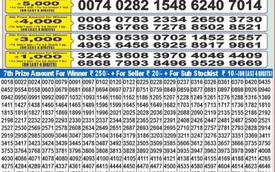 Dear 100 Beas Tuesday weekly lottery 29.4.25 5pm result