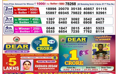 Dear goose Tuesday weekly lottery 29.4.25 8pm result