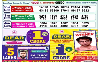 Dear indus wednesday weekly lottery 30.4.25 1pm result