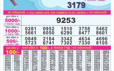 Dear 10 hard Tuesday weekly lottery 29.4.25 7pm result