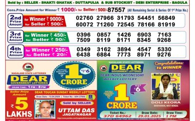 Dear seagull Friday weekly lottery 2.5.25 8pm result