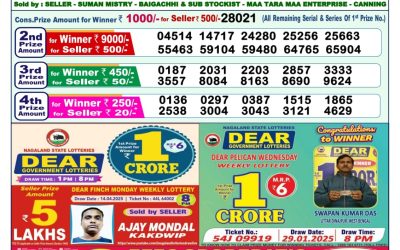 Dear narmada saturday weekly lottery 3.5.25 1pm result