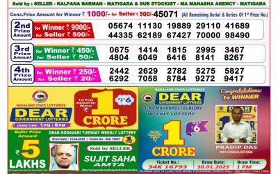 Dear stork saturday weekly lottery 3.5.25 8pm result