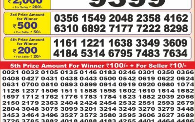 Punjab State Dear 10 sunday Weekly Lottery 4.5.25 6PM Result
