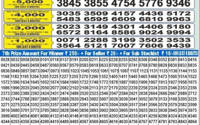Dear 100 Beas Tuesday weekly lottery 6.5.25 5pm result