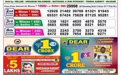 Dear goose Tuesday weekly lottery 6.5.25 8pm result