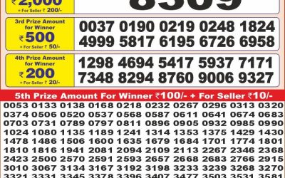 Punjab state dear 10 weekly lottery result,6pm,7.5.2025