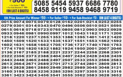 Dear Super Silver Friday weekly lottery 9.5.25 7pm result