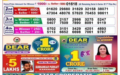 Dear seagull Friday weekly lottery 9.5.25 8pm result