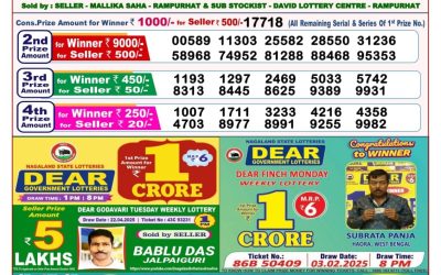 Dear stork saturday weekly lottery 10.5.25 8pm result