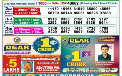 Dear yamuna sunday weekly lottery 11.5.25 1pm result