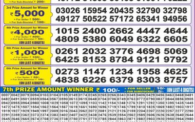 Dear 50 ravi sunday weekly lottery 11.5.25 5pm result