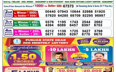 Dear vixen sunday weekly lottery 11.5.25 6pm result