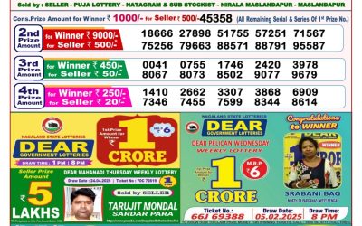 Dear toucan sunday weekly lottery 11.5.25 8pm result