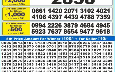 Dear 10 green Tuesday weekly lottery 13.5.25 1.30pm