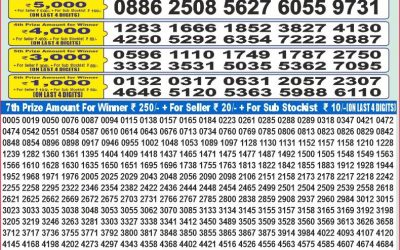Dear 100 Beas Tuesday weekly lottery 13.5.25 5pm result