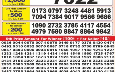 Punjab state dear 10 lottery 13.5.25 6pm result