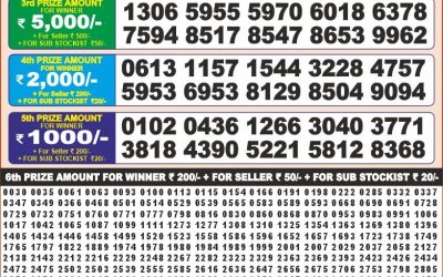 Punjab state dear 100 monthly Lottery 13.5.25