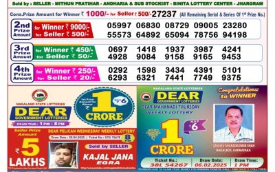Dear goose Tuesday weekly lottery 13.5.25 8pm result